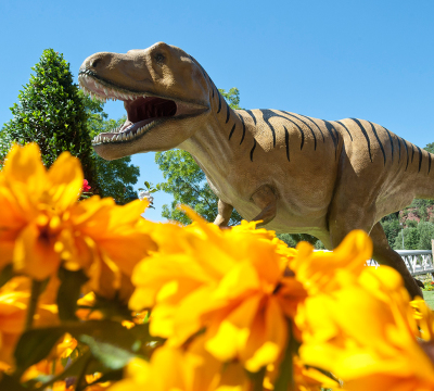 Dinosaur at the Garden Fair. In the front you could see yellow flowers.
