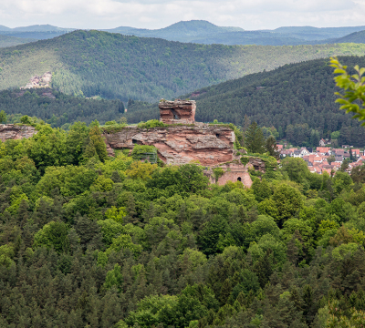 Blick vom Heidenfelsen auf die Burg Drachenfels bei Busenberg