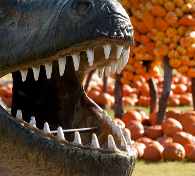Mouth of a dinsosaur at the Garden Fair. In the background you could see a lot of pumpkins.