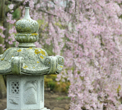 Japanischer Garten Stadt Kaiserslautern