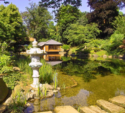In the front you could see the koi carp pond and in the background the original Japanese Teahouse of the Japanese Garden