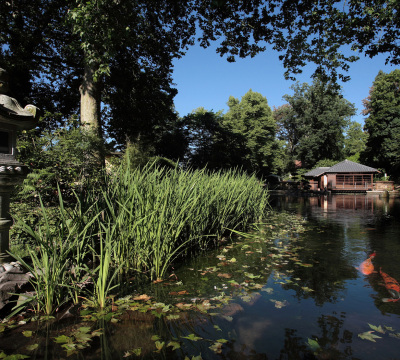 Japanischer Garten Stadt Kaiserslautern