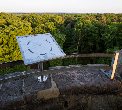 View from the Humberg Tower to the forest