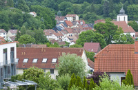 Erfenbach im Sommer komplett in Grün getaucht. Die Bäume machen einen Großteil des Stadtbildes aus, im Hintergrund ist der Turm der Katholischen Kirche zu sehen. 