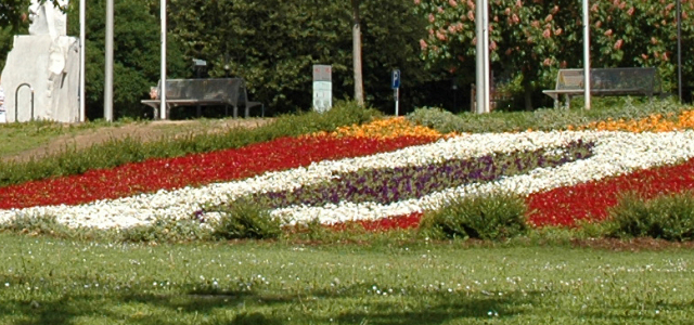 Wiese mit Blumen, die Kaiserslauterns Stadtwappen - den Fisch mit roten, weißen, gelben und schwarzen Farben - zeigen, vor dem Rathaus im Frühling.