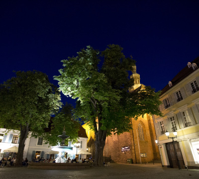 Nachtaufnahme des Martinsplatzes mit Blick auf den Martinsbrunnen und die Martinskirche im Hintergrund