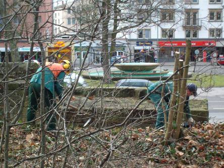 Foto zeigt Arbeiter des Referats Grünflächen beim Entfernen von Sträuchern auf dem Burghügel © Stadt Kaiserslautern