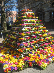 Kaiserslautern begrüßt den Frühling mit einer Blumenpyramide. © Stadt Kaiserslautern