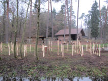 Hier entsteht der altgermanische Frankenhof. © Stadt Kaiserslautern