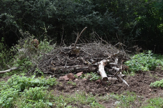 Die errichteten Habitatkomplexe bestehen aus aufgeschichteten Steinen, Totholz und Reisig. © Stadt Kaiserslautern