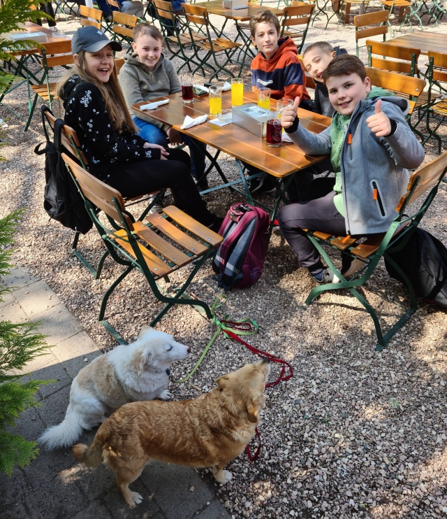 Auf dem Bild sind die Kinder und Jugendlichen gemeinsam mit den beiden Hunden Lotte und Tobi beim Bremerhof zu sehen. © Stadt Kaiserslautern