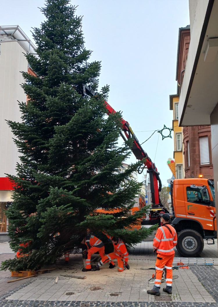  © Stadtbildpflege Kaiserslautern