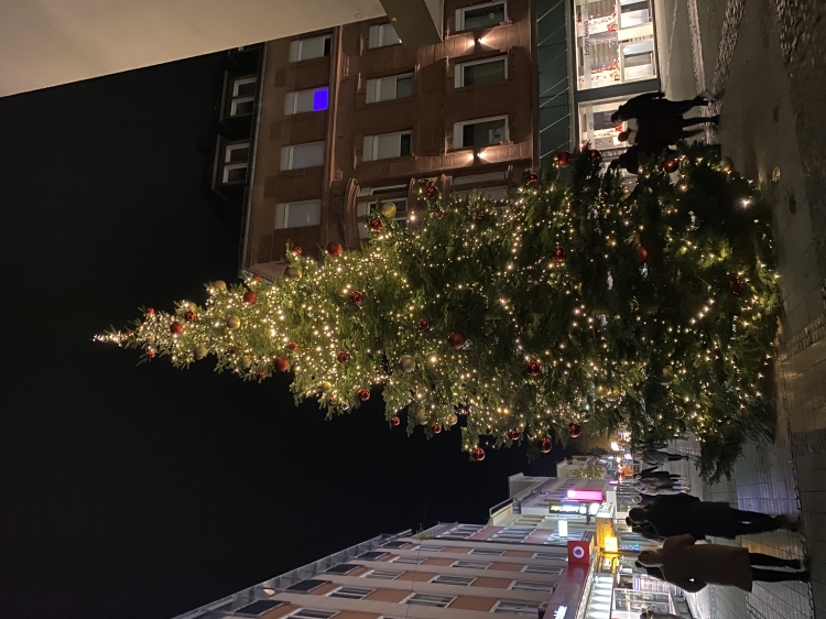 Der Weihnachtsbaum Ecke Fackelstraße / Marktstraße © Stadt Kaiserslautern