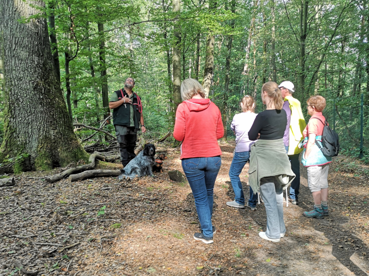 Im Rahmen der Woche der Klimaanpassung gab Jens Heinz, zuständiger Förster des Referats Grünflächen, Einblicke in die Folgen des Klimawandels im Stadtwald. © Stadt Kaiserslautern