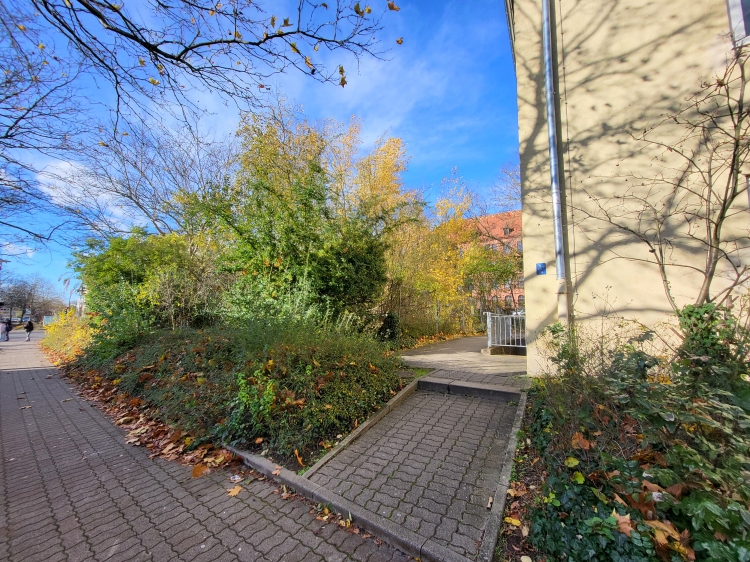 Auf dem Brachgrundstück mit den verwilderten Büschen links neben der Sporthalle des Albert-Schweitzer-Gymnasiums soll ein weiteres Taubenhaus aufgestellt werden. © Stadt Kaiserslautern