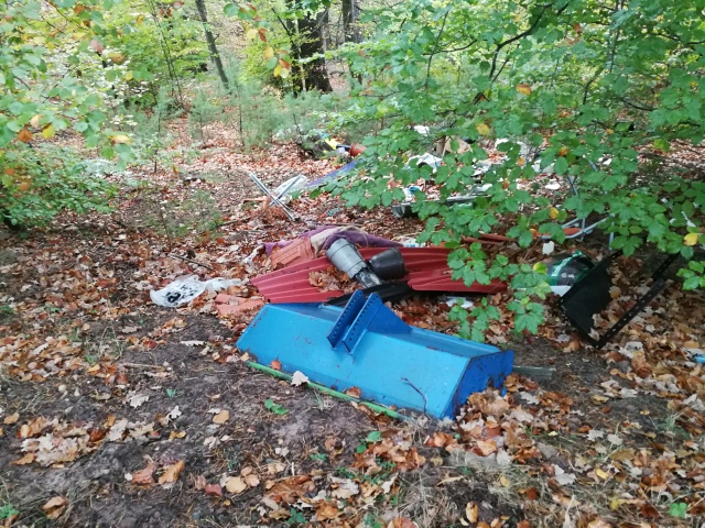 Diese illegale Abfallablagerung im Wald wurde die Tage von Mitarbeitern der Stadt beseitigt © Stadt Kaiserslautern