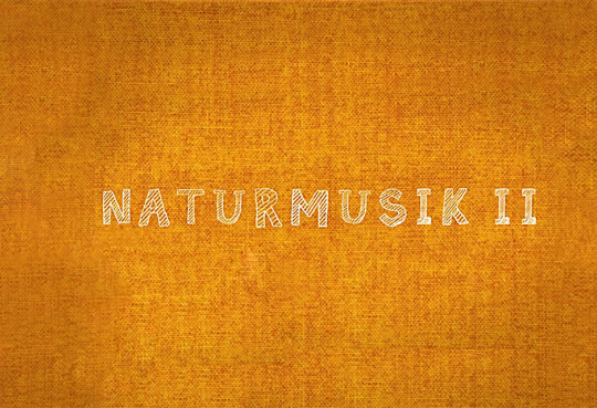 Naturmusik (7-14 Jahre) 