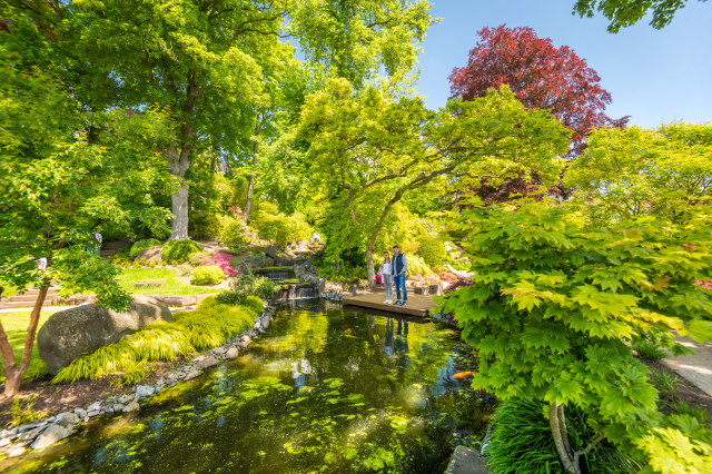Japanischer Garten © Pfalz.Touristik e.V., Bild: Dominik Ketz