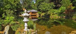 Im Vordergrund der Koi Teich des Japanischen Gartens und im Hintergrund das original japanische Teehaus