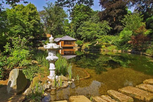 Im Vordergrund der Koi Teich des Japanischen Gartens und im Hintergrund das original japanische Teehaus © Stadt Kaiserslautern