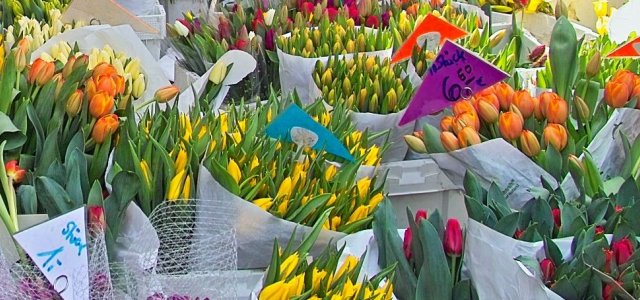 Aufnahme auf dem Wochenmarkt. Man sieht einen Stand mit Blumen, insbesondere Tulpen. 